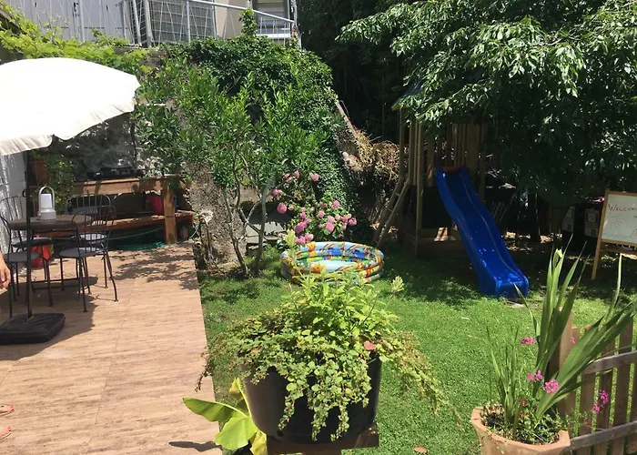 Oasis